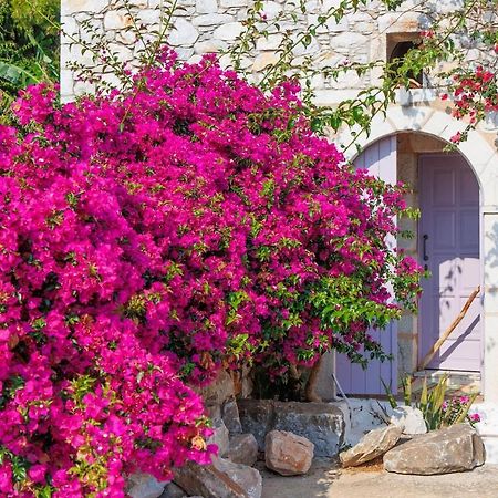 Iliana'S House - Spacious Cave House In The Center Of Areopolis Bagian luar foto